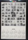 untitled (calendar and photos of nipples)