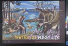 Wetlands Mean Life