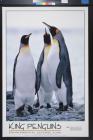 King Penguins: Environmental Defense Fund