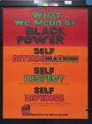 What We Mean By Black Power