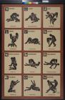 untitled (astrology and sexual positions)