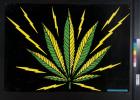 untitled (marijuana leaf)