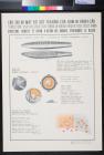 Structure and Destruction Power of Round-Shaped Steel-Pellet Bombs