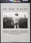 In the fields