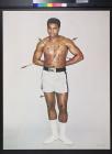 untitled (boxer shot with arrows)