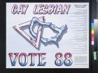 Gay Lesbian: Vote 88