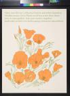 untitled (orange flowers)