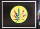 untitled (marijuana leaf)