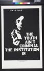 The Youth Ain't Criminal The Institution Is