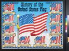 History of the United States Flag