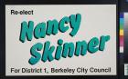Re-elect Nancy Skinner
