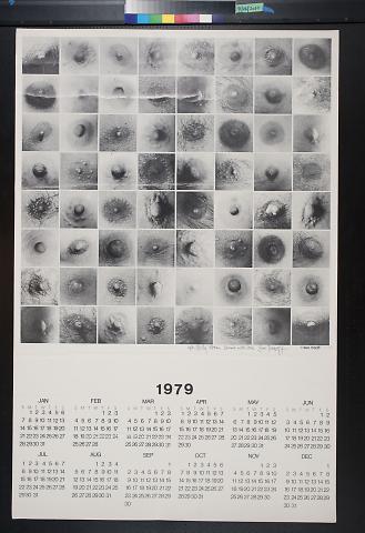 untitled (calendar and photos of nipples)