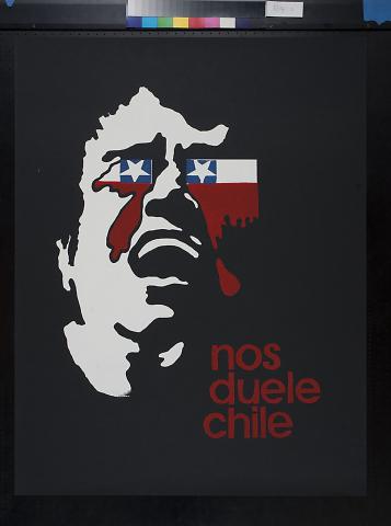 Nos Duele Chile