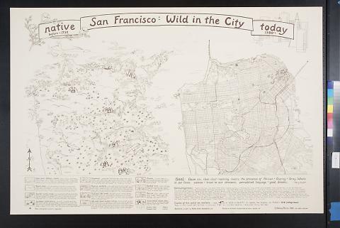 San Francisco: Wild in the City
