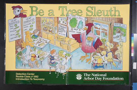 Be a Tree Sleuth
