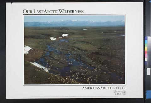 Our Last Arctic Wilderness/ America's Arctic Refuge/ Sierra Club