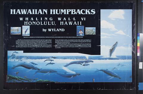 Hawaiian Humpbacks