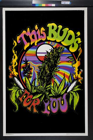 This Bud's For You