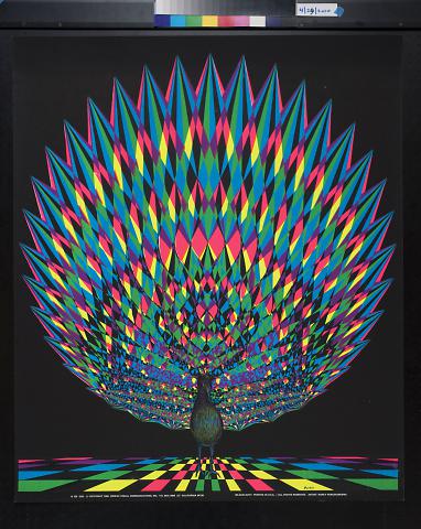 untitled (peacock)