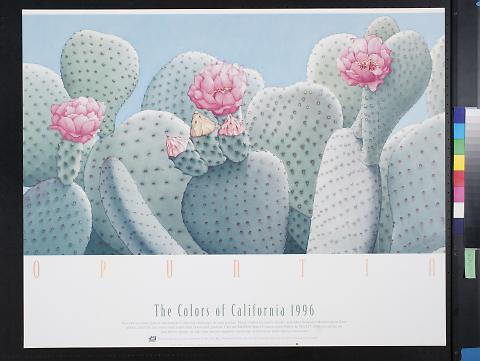Opuntia: The Colors of California 1996