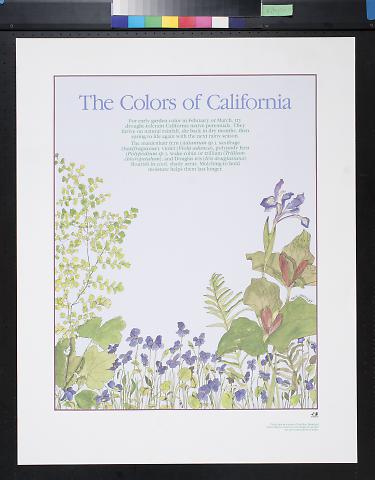 The Colors of California