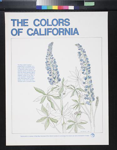 The Colors of California