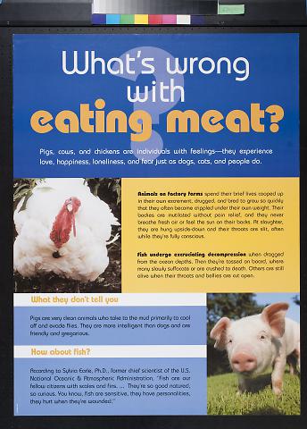 What's Wrong with Eating Meat?
