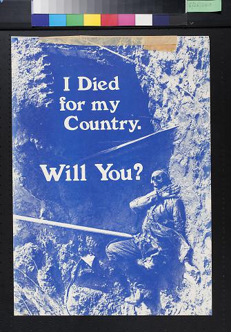 I died for my country