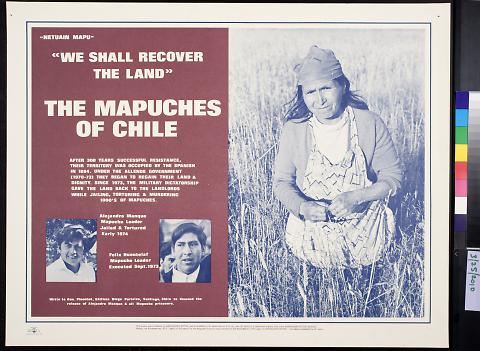 We Shall Recover the Land: The Mapuches of Chile