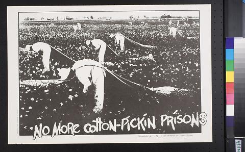 No More Cotton-Pickin Prisons