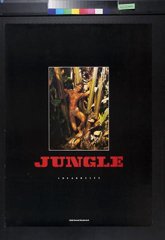 Jungle: Los Angeles