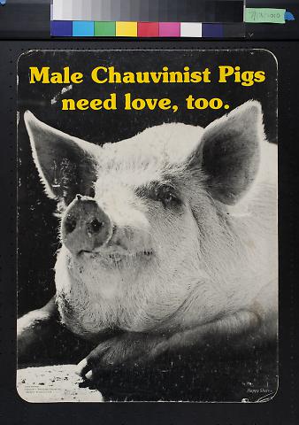 Male Chauvinist Pigs need love, too.