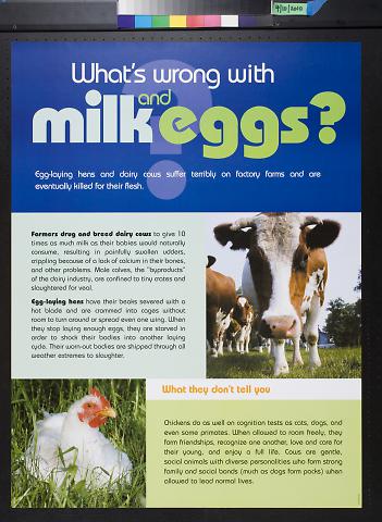 What's wrong with milk and eggs?