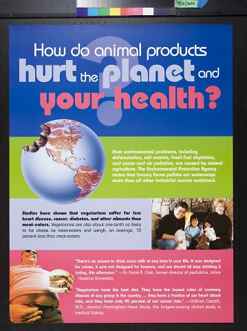 How do animal products hurt the planet and your health?