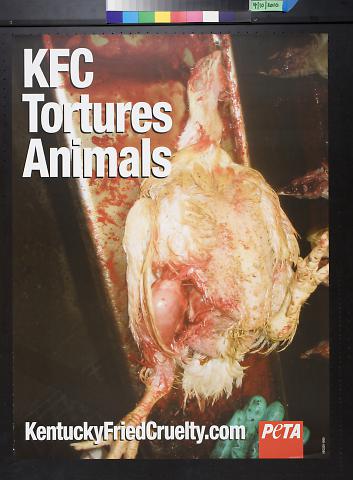 KFC tortures animals