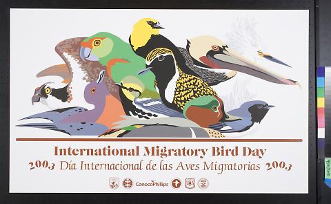 Internation Migratory Bird Day