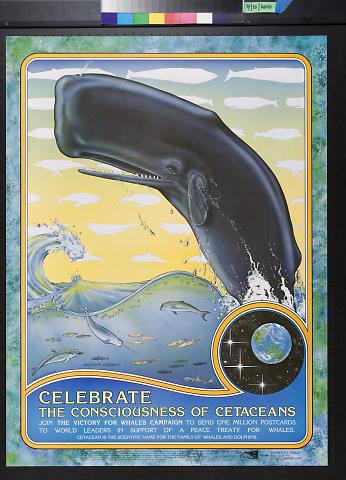 Celebrate the Consciousness of Cetaceans