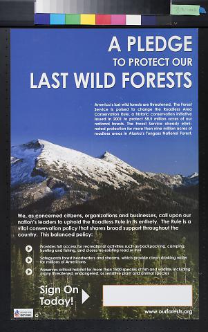 A Pledge To Protect Our Last Wild Forests
