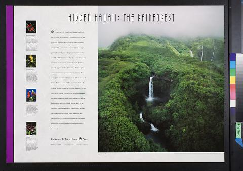 Hidden Hawaii: The Rainforests