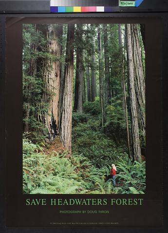 Save Headwaters Forest