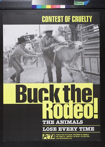 Buck the rodeo