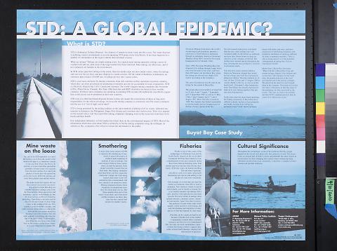 STD: A Global Epidemic?