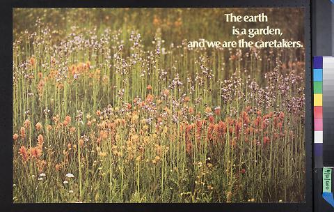 The Earth is a Garden