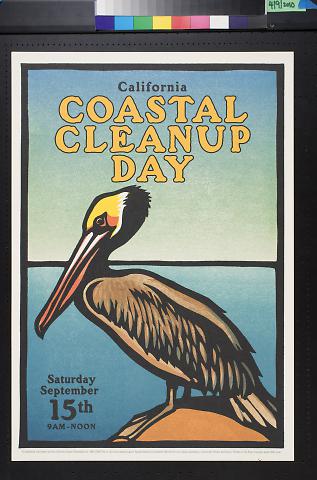 California Coastal Cleanup Day (Pelican)
