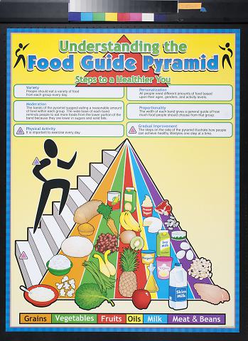 Understanding the Food Guide Pyramid