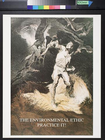 The Environmental Ethic