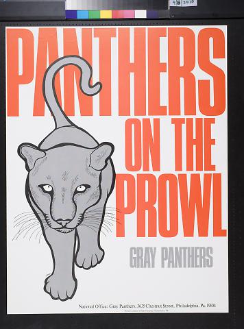 Panters on the Prowl: Gray Panthers