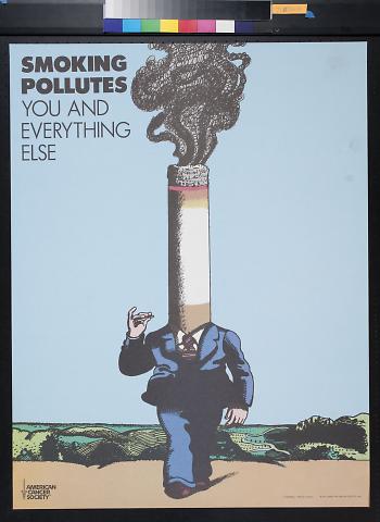 Smoking Pollutes You and Everything Else