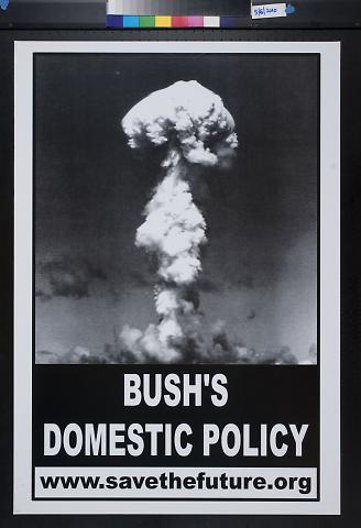 Bush's Domestic Policy