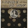 A Flower of Old Japan